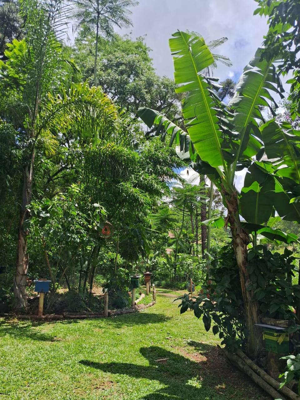 Ecopousada - Sitio Aborigene *