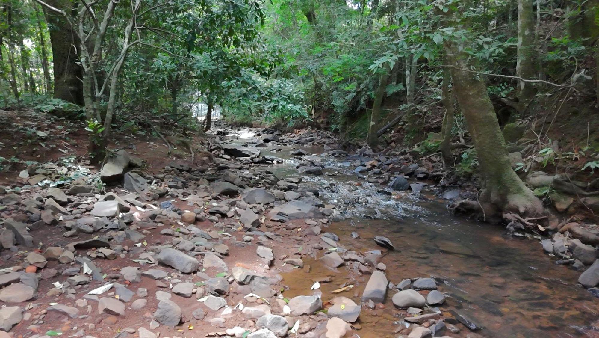 Homestay Ecopousada - Sitio Aborigene *