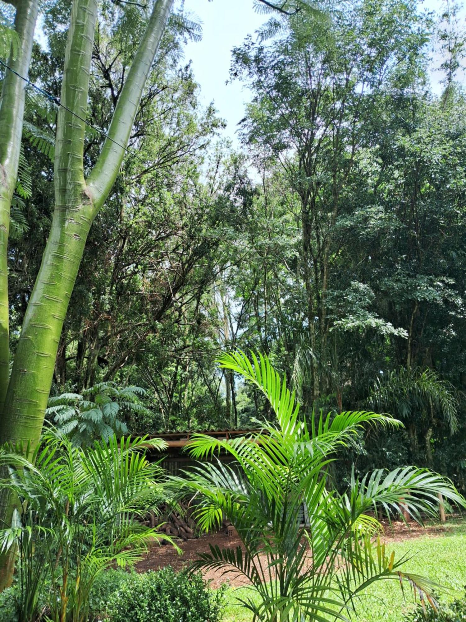Ecopousada - Sitio Aborigene Sao Lourenco do Oeste