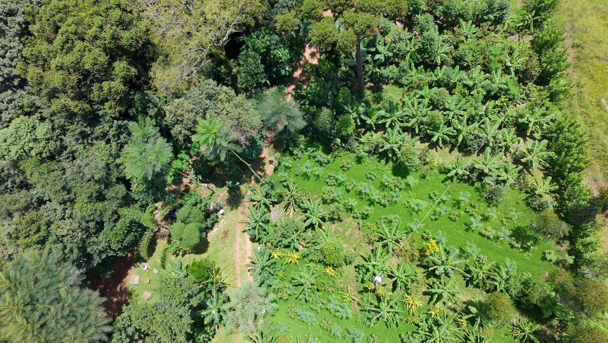 Ecopousada - Sitio Aborigene Homestay Sao Lourenco do Oeste