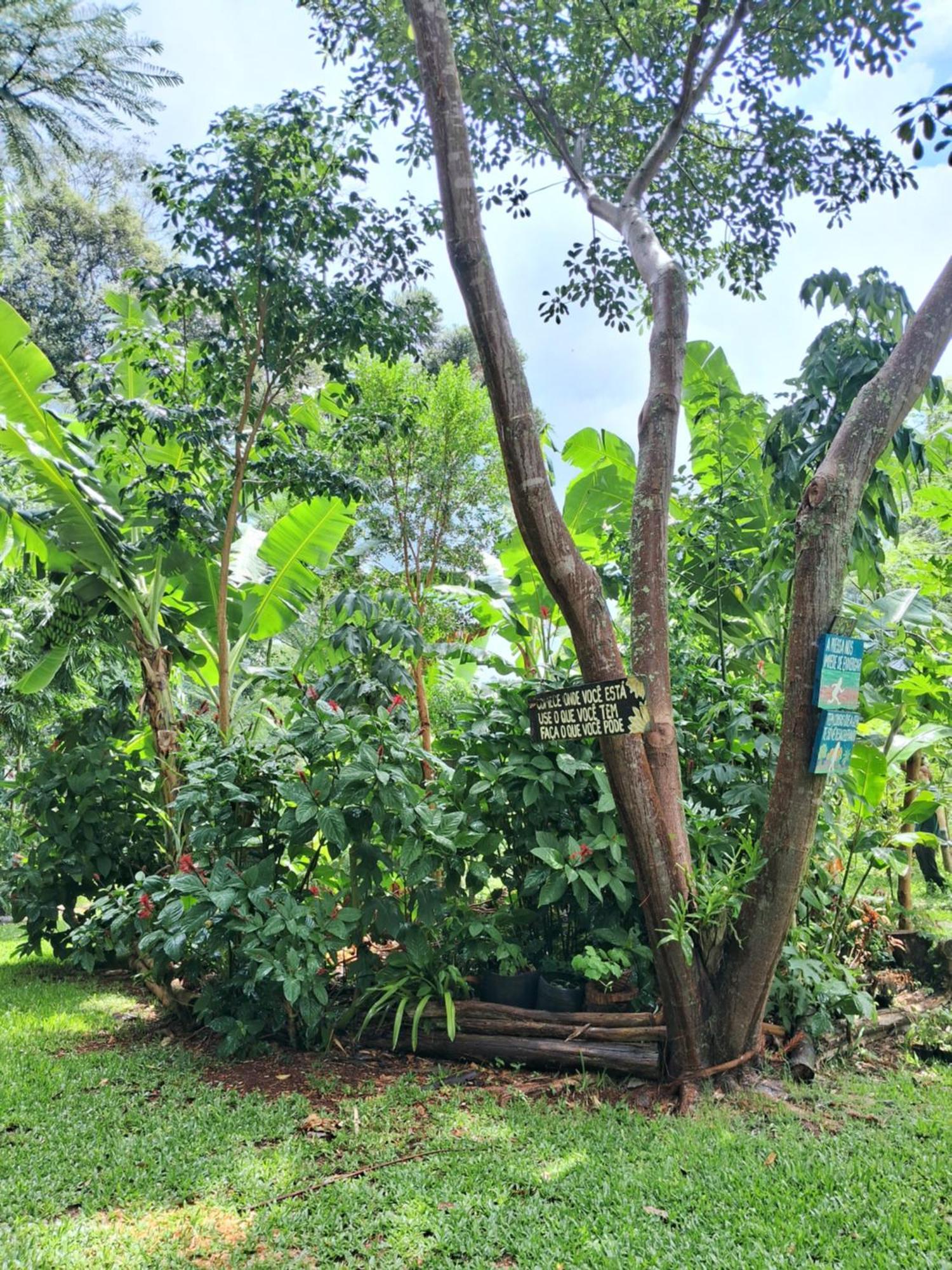 Ecopousada - Sitio Aborigene Homestay *